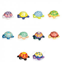 Petit Bijou de Tortue